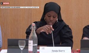 Ivry-sur-Seine: a grant of 46,000 euros for Mali adopted by the municipal council