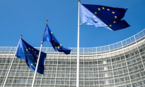 Microsoft, Apple, SpaceX: bogeyman policy will not make Europe digital