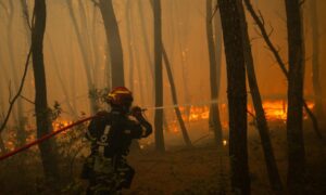Megafires in Europe: more than 3 billion euros in economic losses since the start of summer